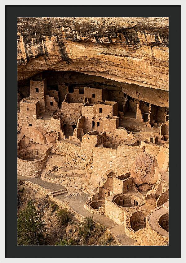 Cliff Palace At Mesa Verde
