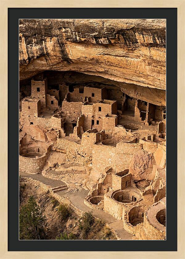 Cliff Palace At Mesa Verde