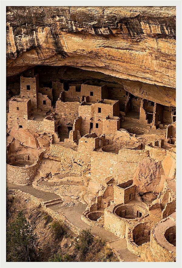 Cliff Palace At Mesa Verde