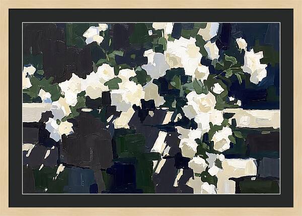 Climbing White Roses Over Stone