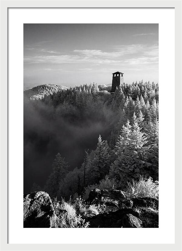 Clingmans Dome Tower In Monochrome
