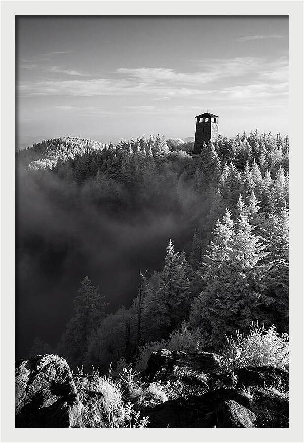 Clingmans Dome Tower In Monochrome