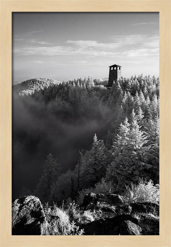 Clingmans Dome Tower In Monochrome