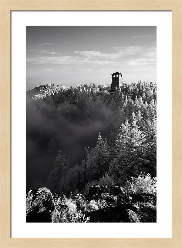 Clingmans Dome Tower In Monochrome