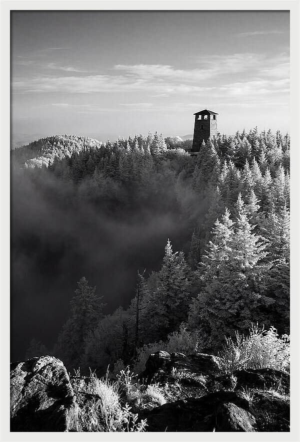 Clingmans Dome Tower In Monochrome