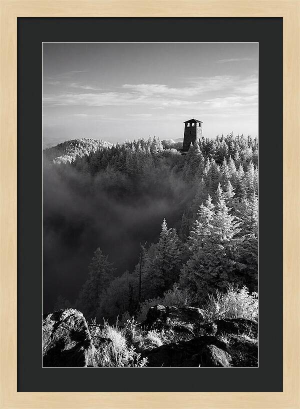 Clingmans Dome Tower In Monochrome