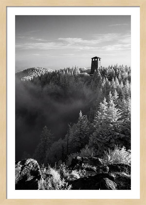 Clingmans Dome Tower In Monochrome