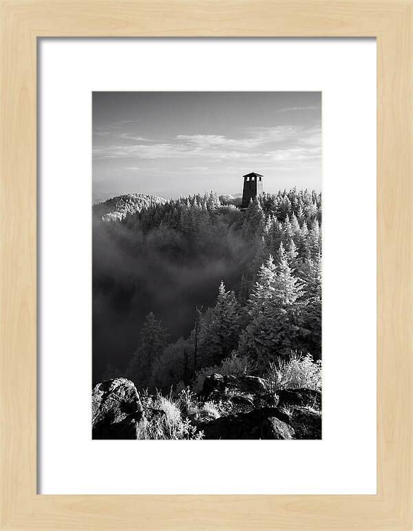 Clingmans Dome Tower In Monochrome
