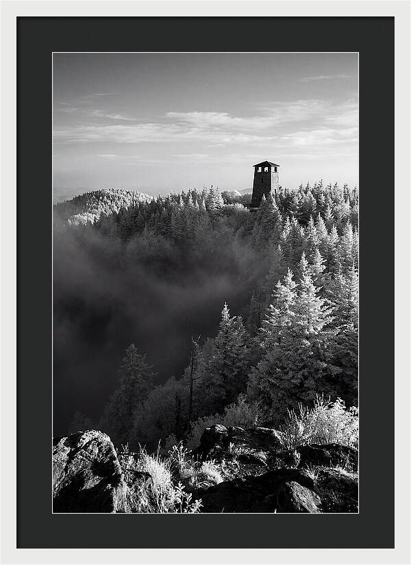 Clingmans Dome Tower In Monochrome