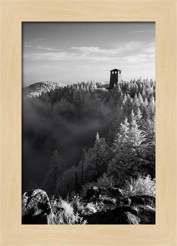 Clingmans Dome Tower In Monochrome