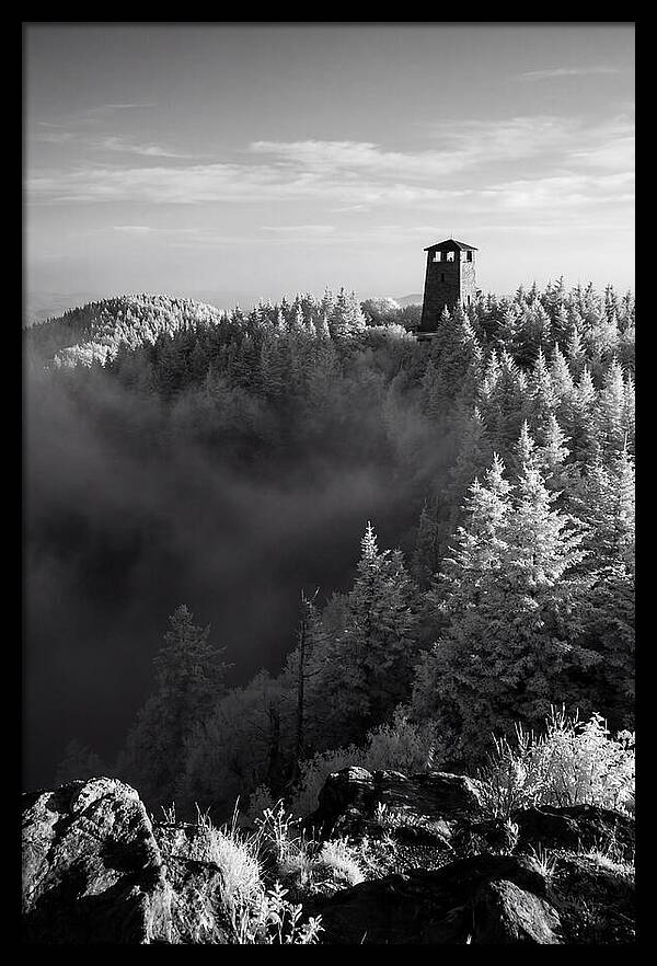 Clingmans Dome Tower In Monochrome