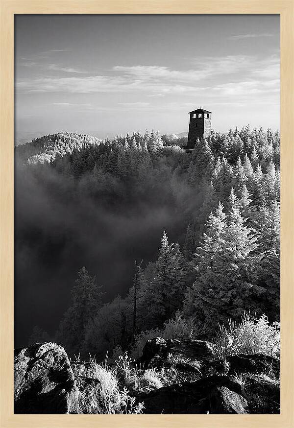 Clingmans Dome Tower In Monochrome