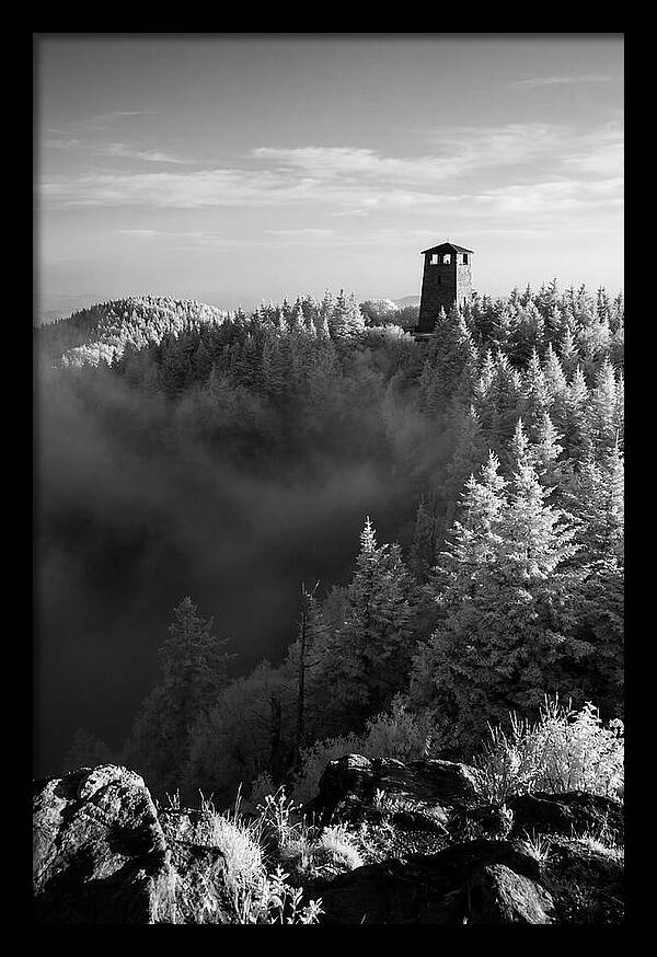 Clingmans Dome Tower In Monochrome