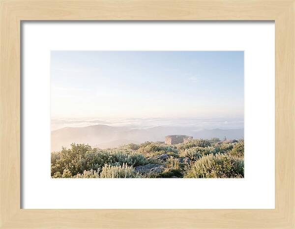Clingmans Dome Tranquility