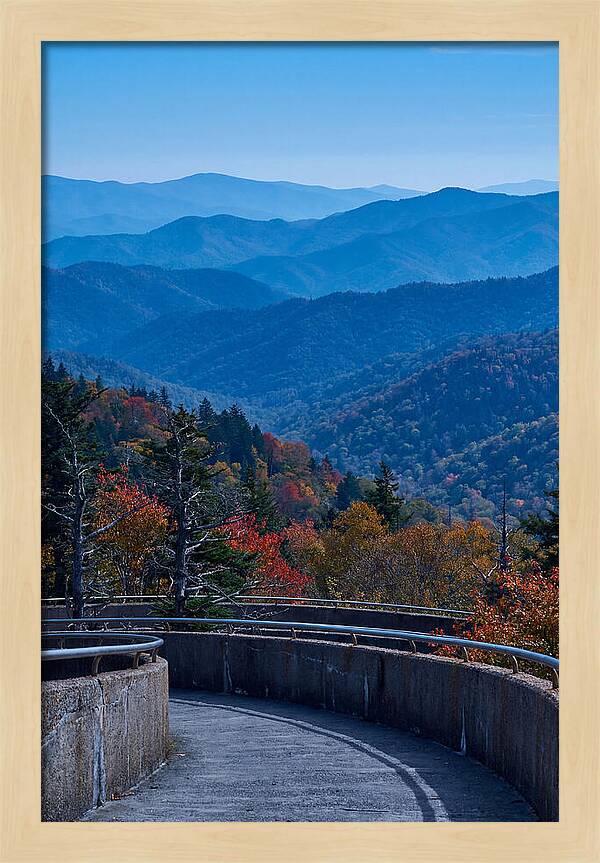 Clingmans Dome Vista