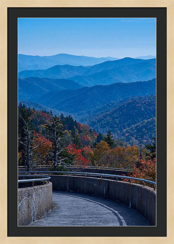 Clingmans Dome Vista
