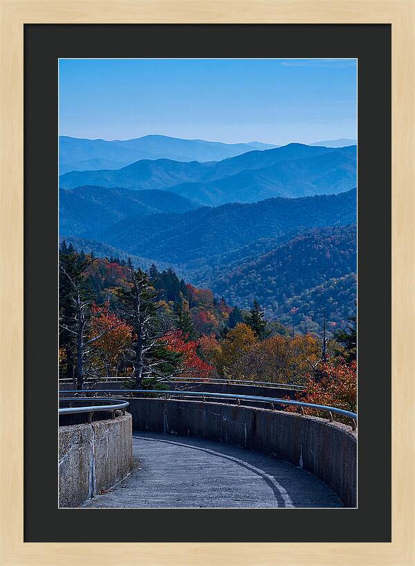 Clingmans Dome Vista