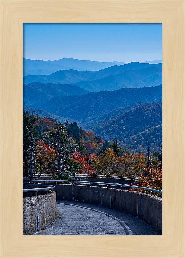 Clingmans Dome Vista