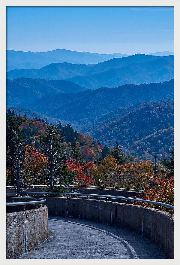 Clingmans Dome Vista