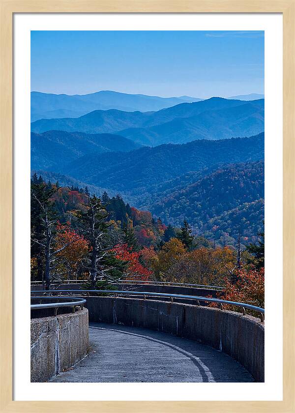 Clingmans Dome Vista