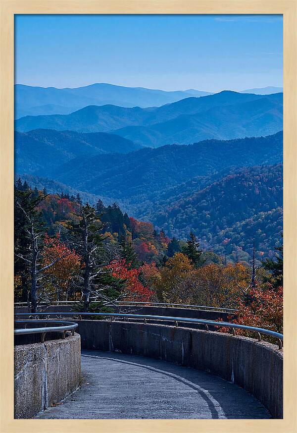 Clingmans Dome Vista