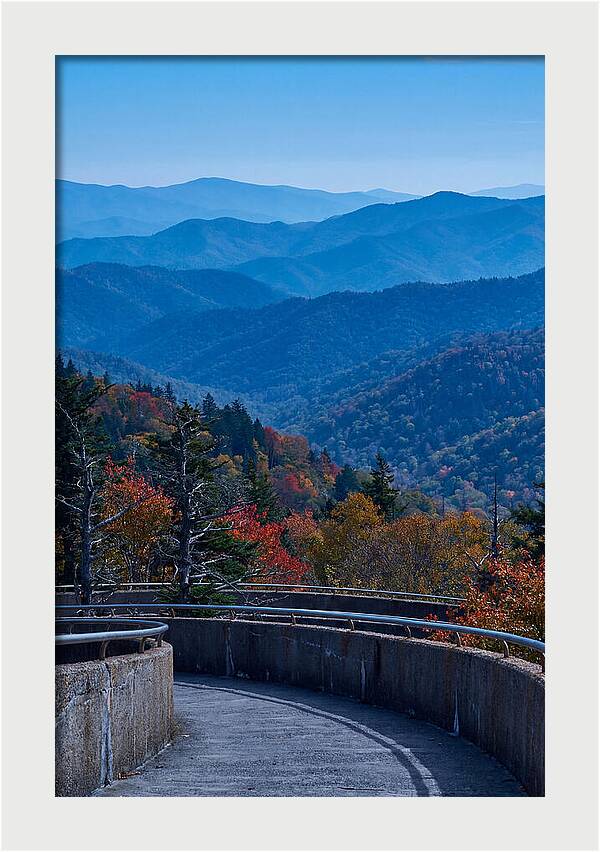 Clingmans Dome Vista