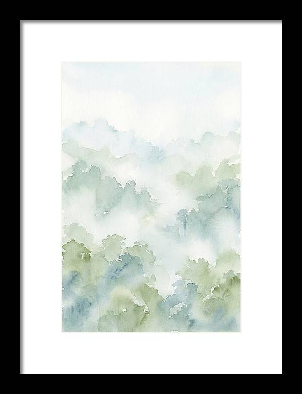 Cloud Forest Canopy Above