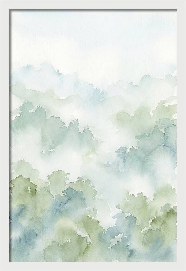 Cloud Forest Canopy Above