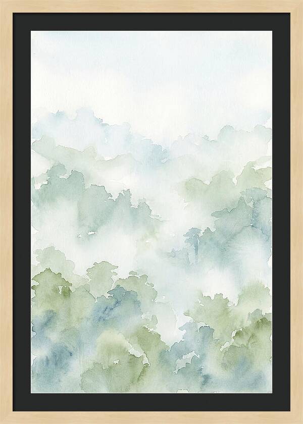 Cloud Forest Canopy Above
