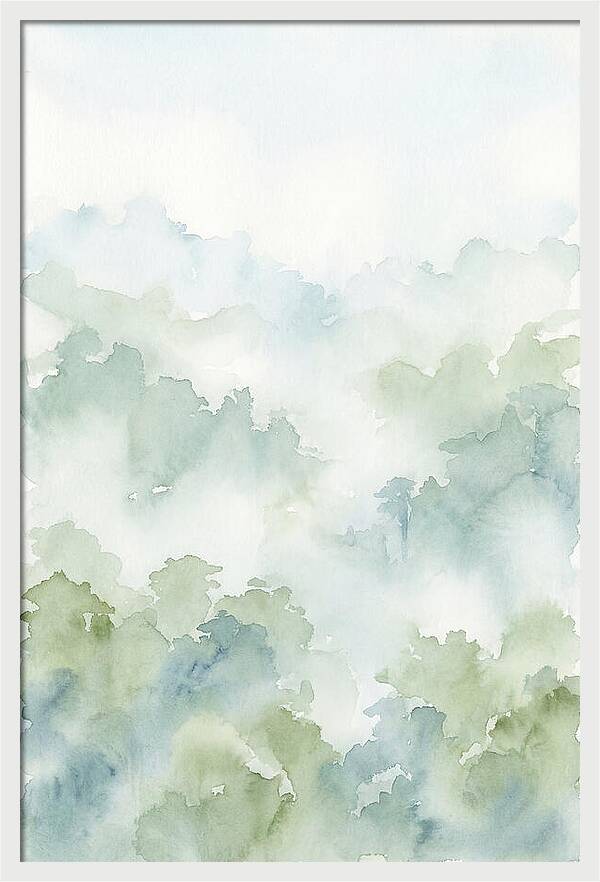 Cloud Forest Canopy Above