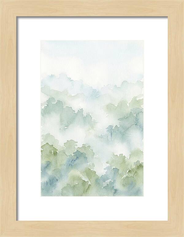 Cloud Forest Canopy Above