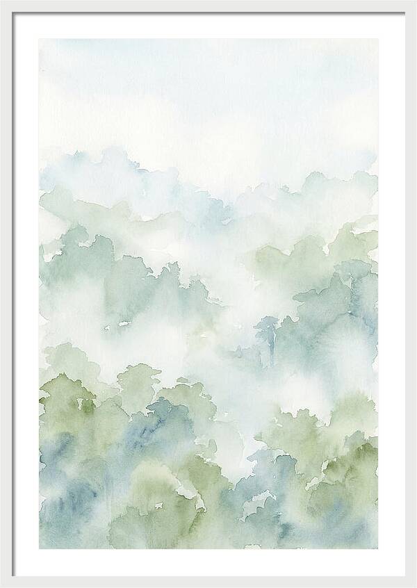 Cloud Forest Canopy Above