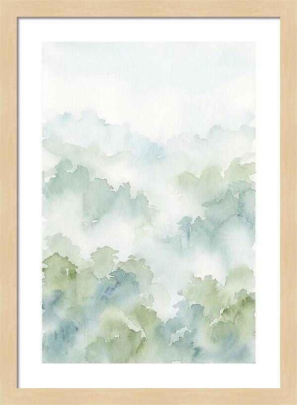 Cloud Forest Canopy Above