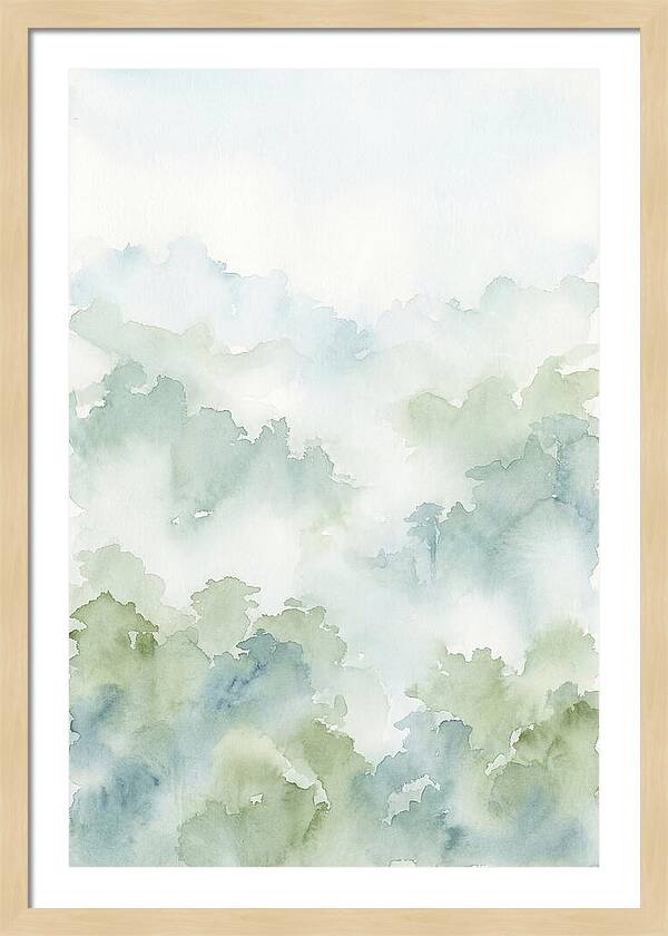 Cloud Forest Canopy Above