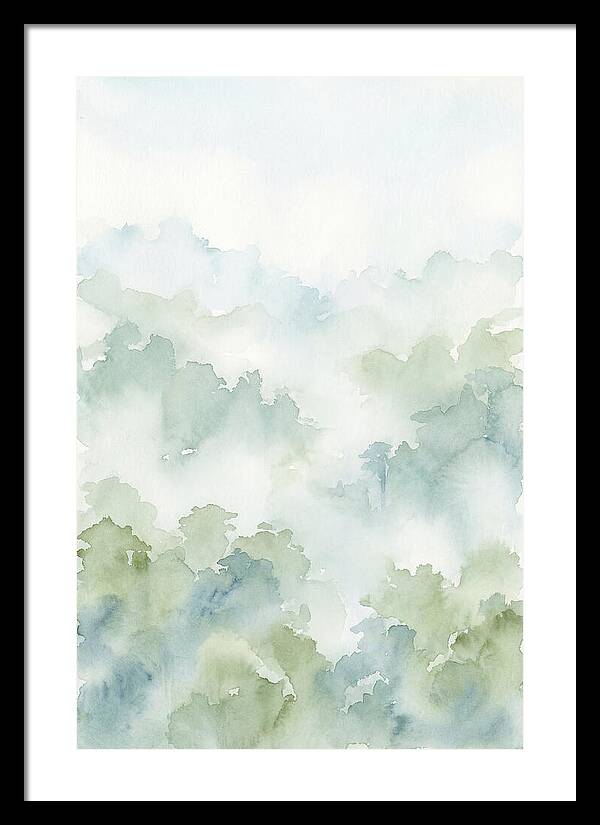 Cloud Forest Canopy Above