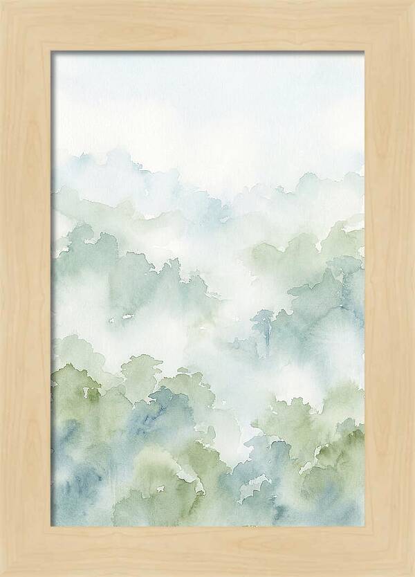 Cloud Forest Canopy Above