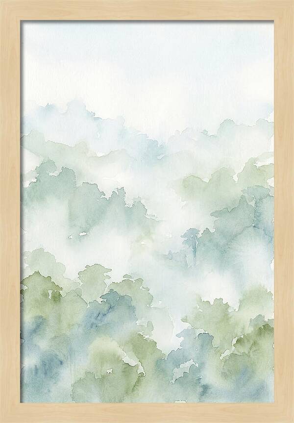 Cloud Forest Canopy Above