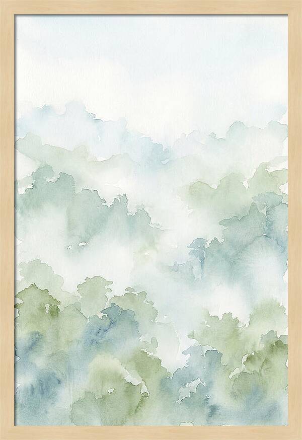 Cloud Forest Canopy Above