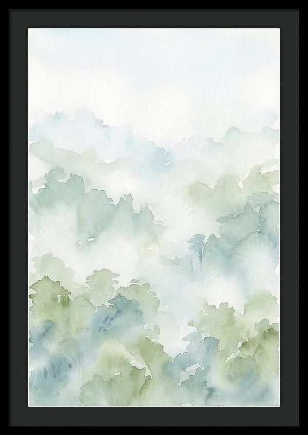 Cloud Forest Canopy Above
