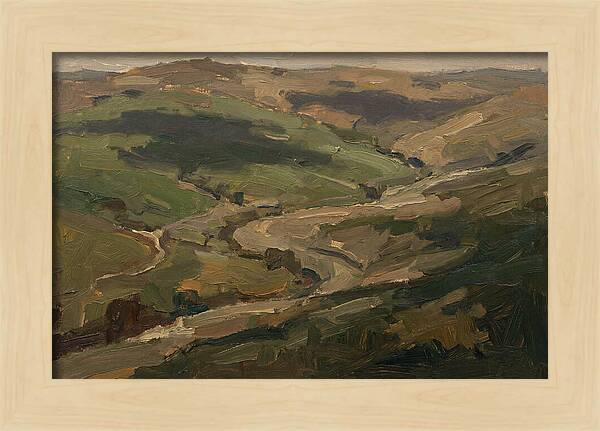 Cloud Shadows Racing Across Green Valley