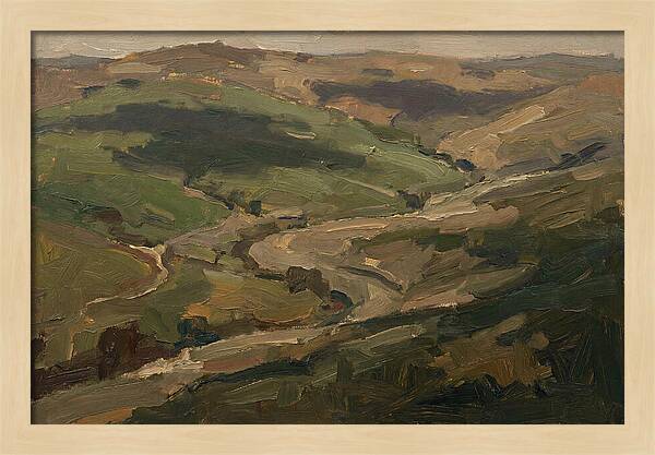 Cloud Shadows Racing Across Green Valley