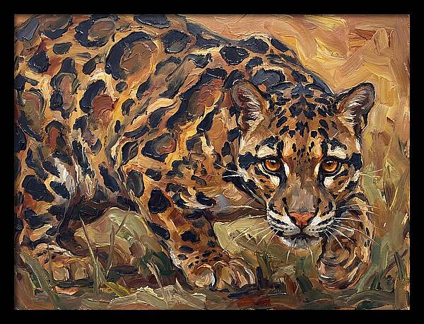 Clouded Leopard Stalking
