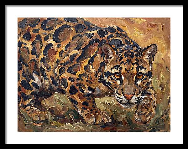 Clouded Leopard Stalking