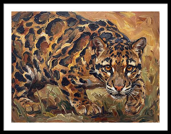 Clouded Leopard Stalking