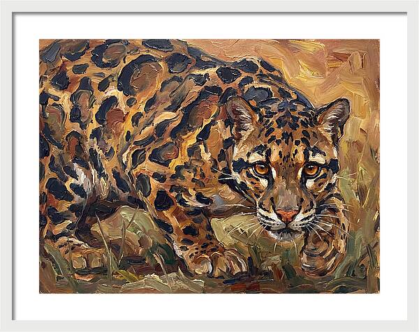 Clouded Leopard Stalking