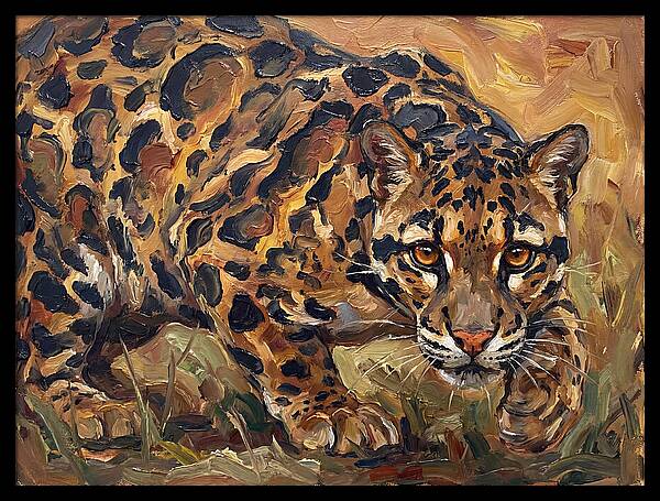 Clouded Leopard Stalking