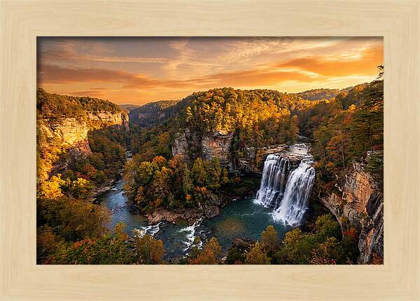 Cloudland Canyon Serenity
