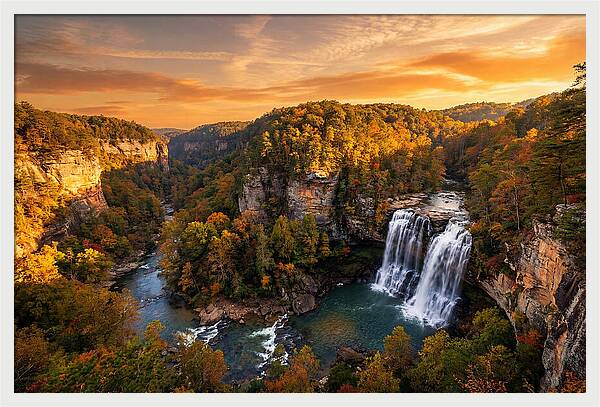 Cloudland Canyon Serenity
