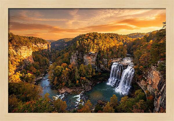 Cloudland Canyon Serenity