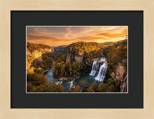 Cloudland Canyon Serenity
